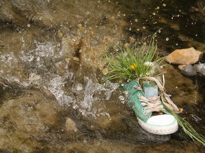 Schuh in der Donau